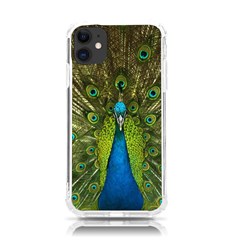 Peacock Feathers Bird Plumage iPhone 11 TPU UV Print Case