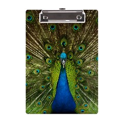 Peacock Feathers Bird Plumage A5 Acrylic Clipboard