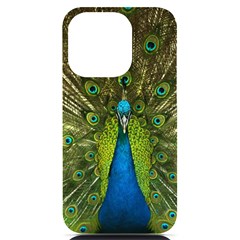 Peacock Feathers Bird Plumage iPhone 14 Pro Black UV Print Case