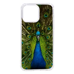 Peacock Feathers Bird Plumage Iphone 14 Pro Max Tpu Uv Print Case by Perong