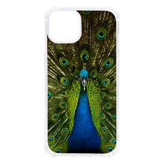 Peacock Feathers Bird Plumage Iphone 13 Tpu Uv Print Case