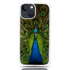 Peacock Feathers Bird Plumage Iphone 13 Mini Tpu Uv Print Case by Perong