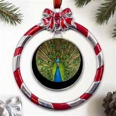 Peacock Feathers Bird Plumage Metal Red Ribbon Round Ornament by Perong