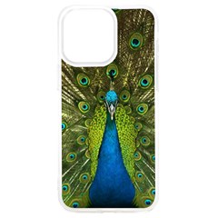 Peacock Feathers Bird Plumage iPhone 15 Pro Max TPU UV Print Case