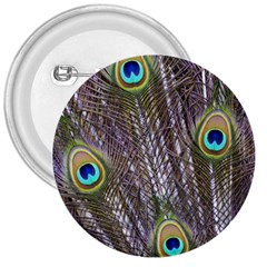 Peacock Bird Feathers Plumage Peacock 3  Buttons by Perong