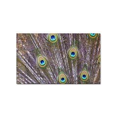 Peacock Bird Feathers Plumage Peacock Sticker (rectangular) by Perong