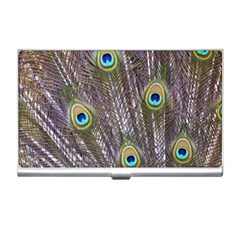 Peacock Bird Feathers Plumage Peacock Business Card Holder by Perong