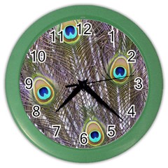 Peacock Bird Feathers Plumage Peacock Color Wall Clock by Perong