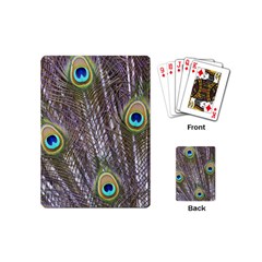 Peacock Bird Feathers Plumage Peacock Playing Cards Single Design (mini) by Perong