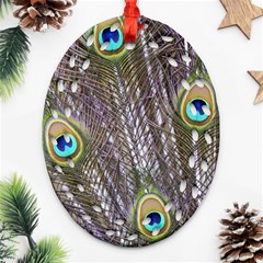 Peacock Bird Feathers Plumage Peacock Oval Filigree Ornament (two Sides)