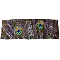 Peacock Bird Feathers Plumage Peacock Body Pillow Case Dakimakura (two Sides) by Perong