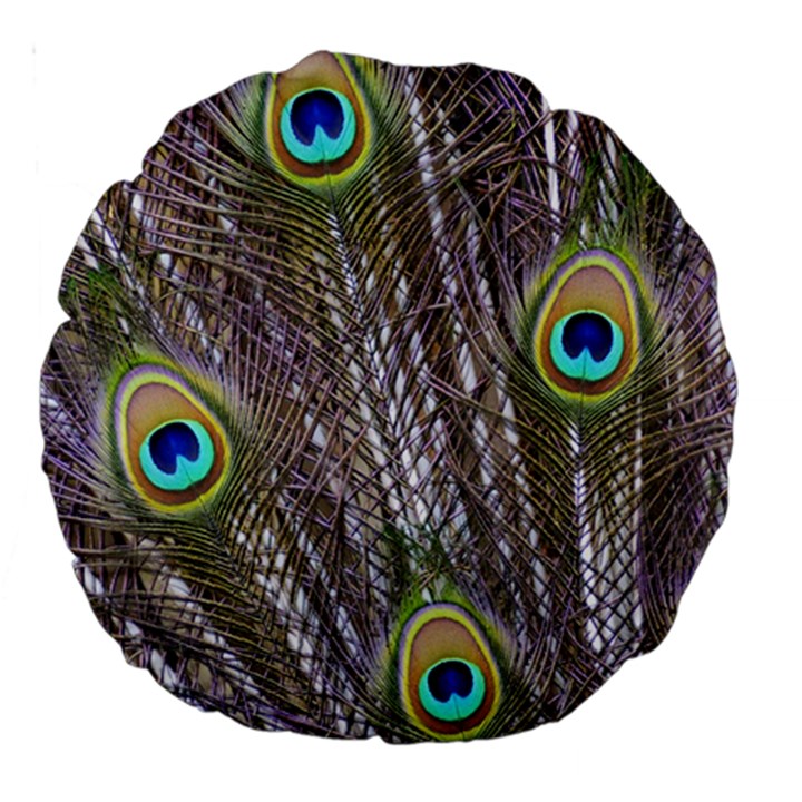 Peacock Bird Feathers Plumage Peacock Large 18  Premium Round Cushions