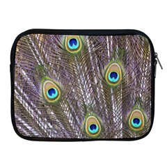 Peacock Bird Feathers Plumage Peacock Apple Ipad 2/3/4 Zipper Cases