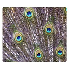 Peacock Bird Feathers Plumage Peacock Two Sides Premium Plush Fleece Blanket (kids Size) by Perong