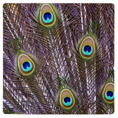 Peacock Bird Feathers Plumage Peacock Uv Print Square Tile Coaster  by Perong