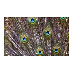 Peacock Bird Feathers Plumage Peacock Banner And Sign 5  X 3  by Perong