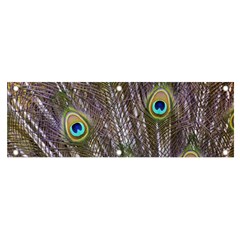 Peacock Bird Feathers Plumage Peacock Banner And Sign 6  X 2  by Perong