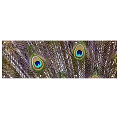 Peacock Bird Feathers Plumage Peacock Banner And Sign 9  X 3 