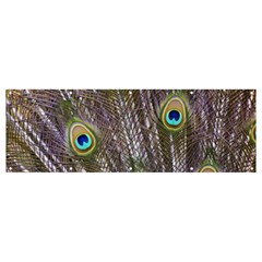 Peacock Bird Feathers Plumage Peacock Banner And Sign 12  X 4 