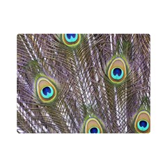 Peacock Bird Feathers Plumage Peacock Premium Plush Fleece Blanket (mini) by Perong