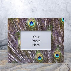 Peacock Bird Feathers Plumage Peacock White Tabletop Photo Frame 4 x6  by Perong