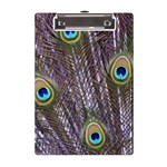 Peacock Bird Feathers Plumage Peacock A5 Acrylic Clipboard Front