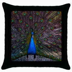 Bird Peacock Feathers Throw Pillow Case (black)