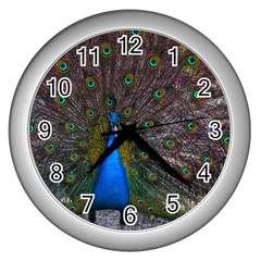 Bird Peacock Feathers Wall Clock (silver) by Perong