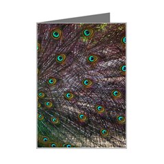 Bird Peacock Feathers Mini Greeting Card by Perong