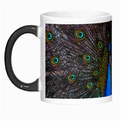 Bird Peacock Feathers Morph Mug