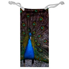 Bird Peacock Feathers Jewelry Bag