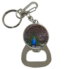 Bird Peacock Feathers Bottle Opener Key Chain by Perong