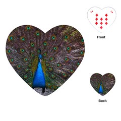 Bird Peacock Feathers Playing Cards Single Design (heart)