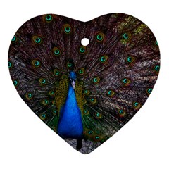 Bird Peacock Feathers Heart Ornament (two Sides)