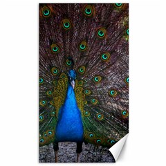 Bird Peacock Feathers Canvas 40  X 72  by Perong