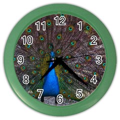 Bird Peacock Feathers Color Wall Clock by Perong