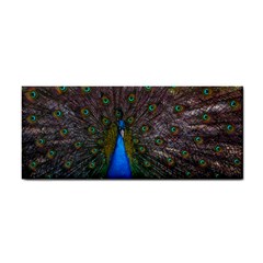 Bird Peacock Feathers Hand Towel