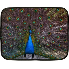 Bird Peacock Feathers Fleece Blanket (mini) by Perong