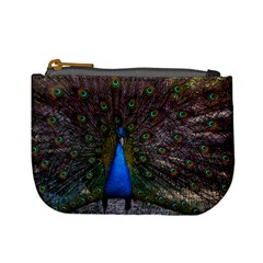 Bird Peacock Feathers Mini Coin Purse