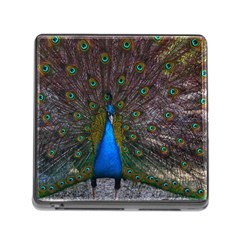 Bird Peacock Feathers Memory Card Reader (square 5 Slot)