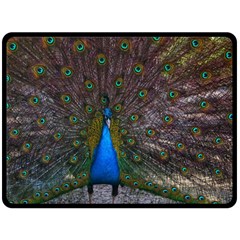 Bird Peacock Feathers Fleece Blanket (large)