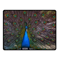 Bird Peacock Feathers Fleece Blanket (small)