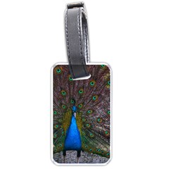 Bird Peacock Feathers Luggage Tag (one Side)