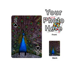 Bird Peacock Feathers Playing Cards 54 Designs (mini)