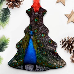 Bird Peacock Feathers Christmas Tree Ornament (two Sides)