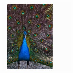 Bird Peacock Feathers Small Garden Flag (two Sides) by Perong