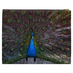 Bird Peacock Feathers Cosmetic Bag (XXXL) Back