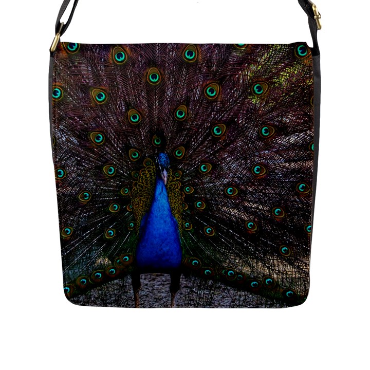 Bird Peacock Feathers Flap Closure Messenger Bag (L)