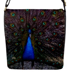 Bird Peacock Feathers Flap Closure Messenger Bag (s) by Perong