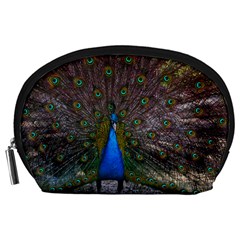 Bird Peacock Feathers Accessory Pouch (large) by Perong